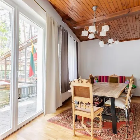 Pinewood Apartment Vilnius